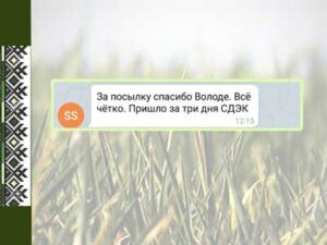 Заказать мухомор с доставкой по России отзыв