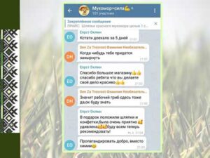 Заказать мухомор с доставкой по России отзыв