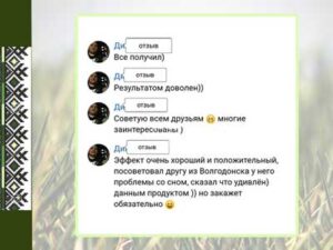 Заказать мухомор с доставкой по России отзыв