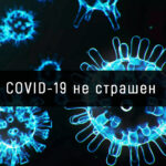 COVID-19 не страшен c грибами