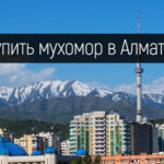 Купить мухомор в Алматы