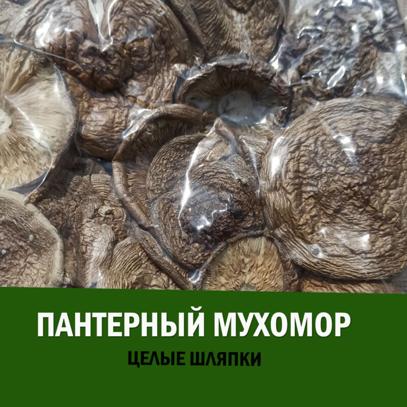 Мухомор пантерный шляпки целые 1 сорт