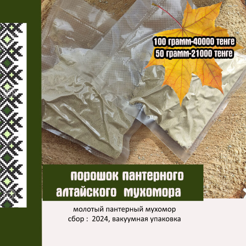 Мухомор пантерный молотый (шаманка) купить в Алматы