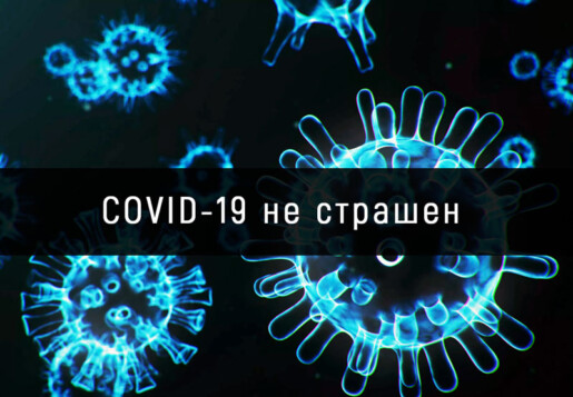 COVID-19 не страшен c грибами