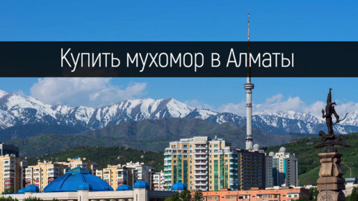 Купить мухомор в Алматы