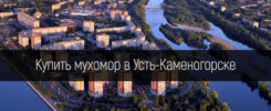 Купить мухомор в Усть-Каменогорске