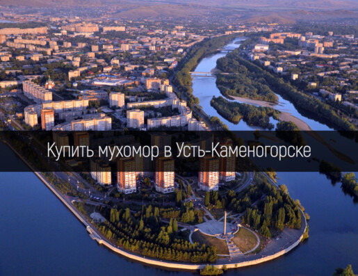 Купить мухомор в Усть-Каменогорске