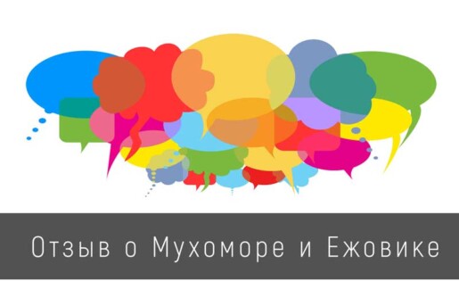 Отзыв о мухоморе и ежовике