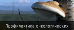Профилактика онкологических заболеваний